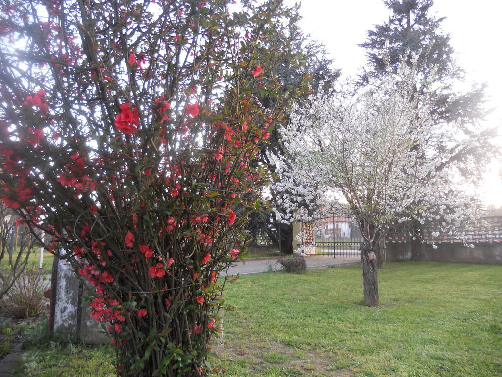B&B Pervinca Rocca Grimalda Dış mekan fotoğraf