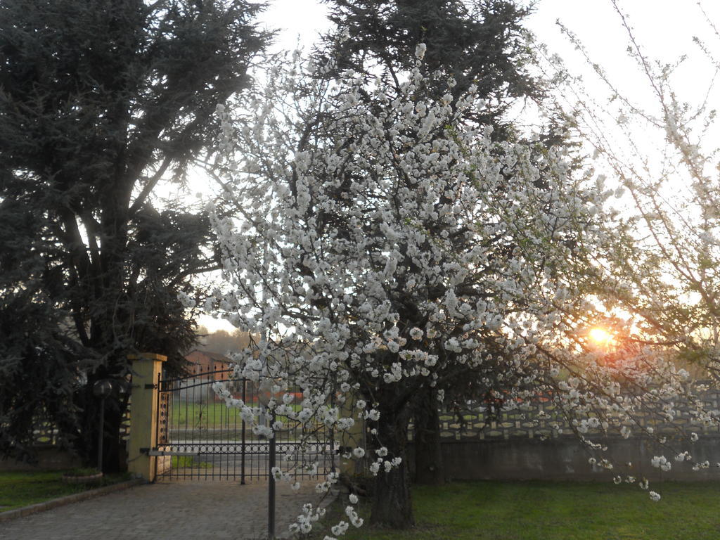 B&B Pervinca Rocca Grimalda Dış mekan fotoğraf