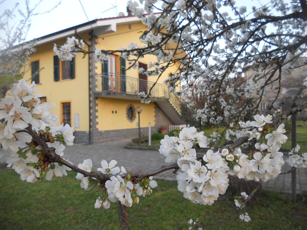 B&B Pervinca Rocca Grimalda Dış mekan fotoğraf